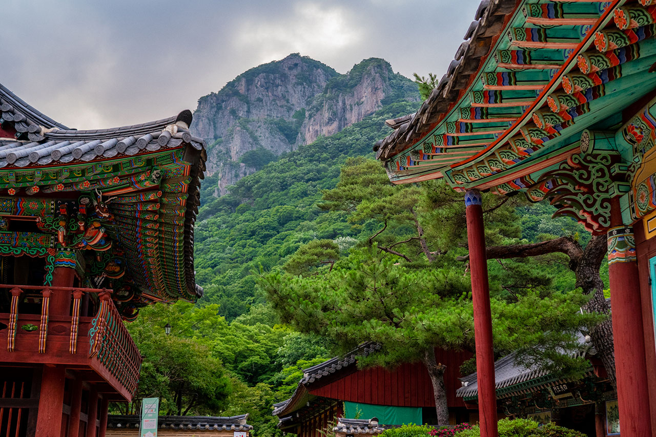The colorful roofs of Baekyangsa Temple with a mountain rising behind it.
