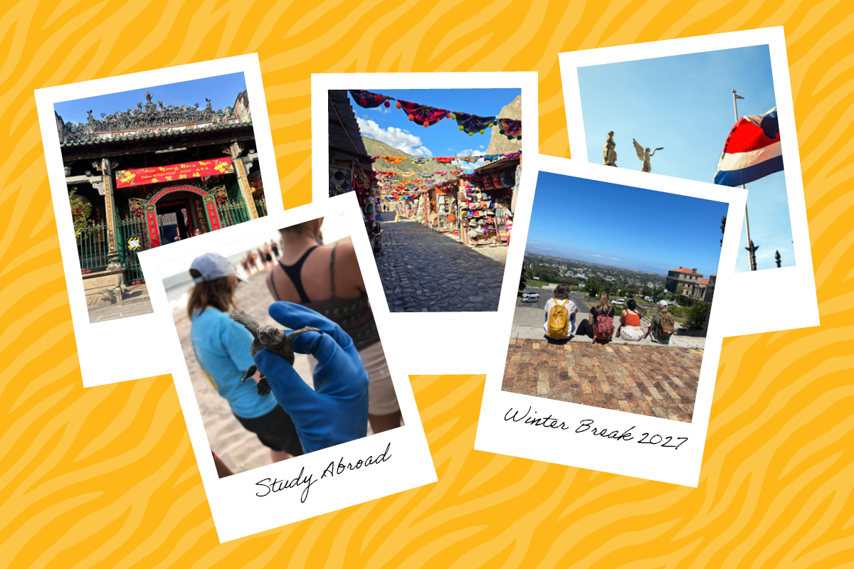 Polaroid collage showing winter break 2027 study abroad program locations.